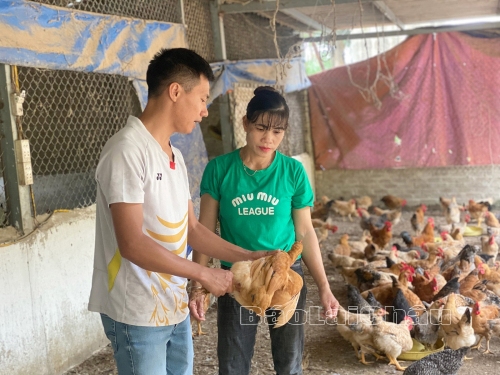 Đưa sản phẩm thích ứng với thị trường