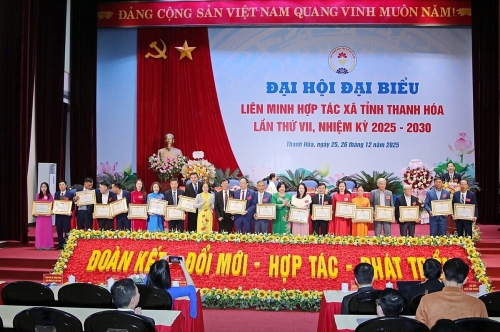 Đại hội đại biểu Liên minh HTX tỉnh Thanh Hóa: Tìm ‘sếu đầu đàn’ cho khu vực kinh tế hợp tác, HTX