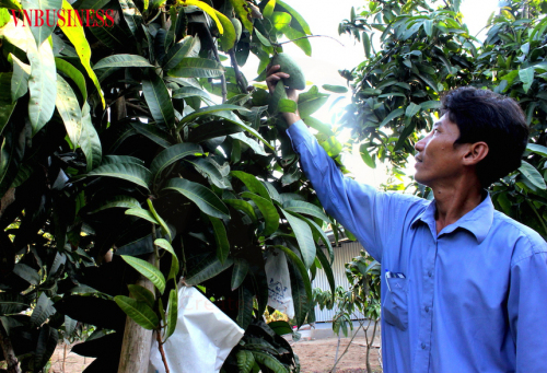 HINH 7072 1622022217 860x0