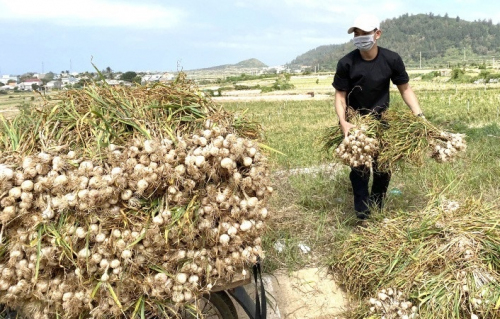 toi Khanh Hoa 9344 1621850519 860x0