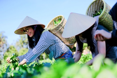 Cần cú hích cho HTX làm du lịch nông nghiệp