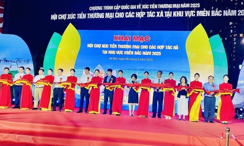Hội chợ xúc tiến thương mại HTX miền Bắc 2025: Tăng tốc liên kết vùng, mở rộng thị trường tiêu thụ