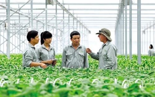 Đổi mới hoạt động tư vấn phát triển HTX: Khi lý thuyết quản trị cần đi đôi với thực tiễn thị trường